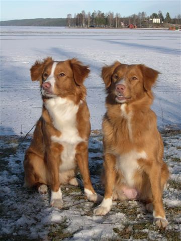 Mor och dotter